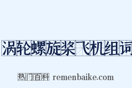 涡轮螺旋桨飞机组词是什么意思的图片